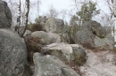 forêt des Grands Avaux